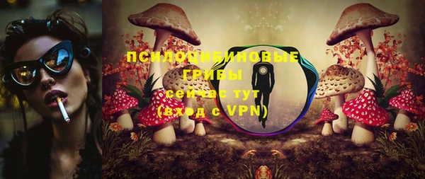 прущие грибы Семилуки